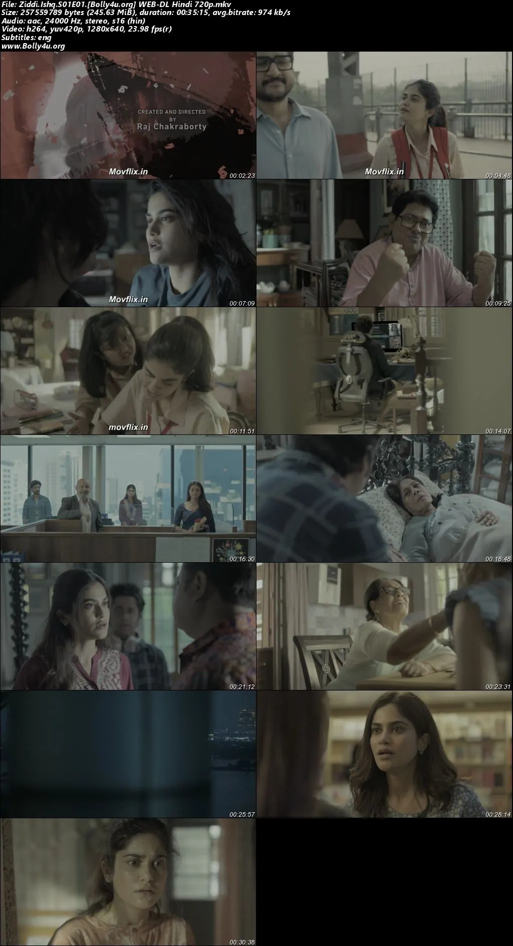 Ziddi Ishq 2025 WEB-DL Hindi S01 Complete Download 720p  480p
