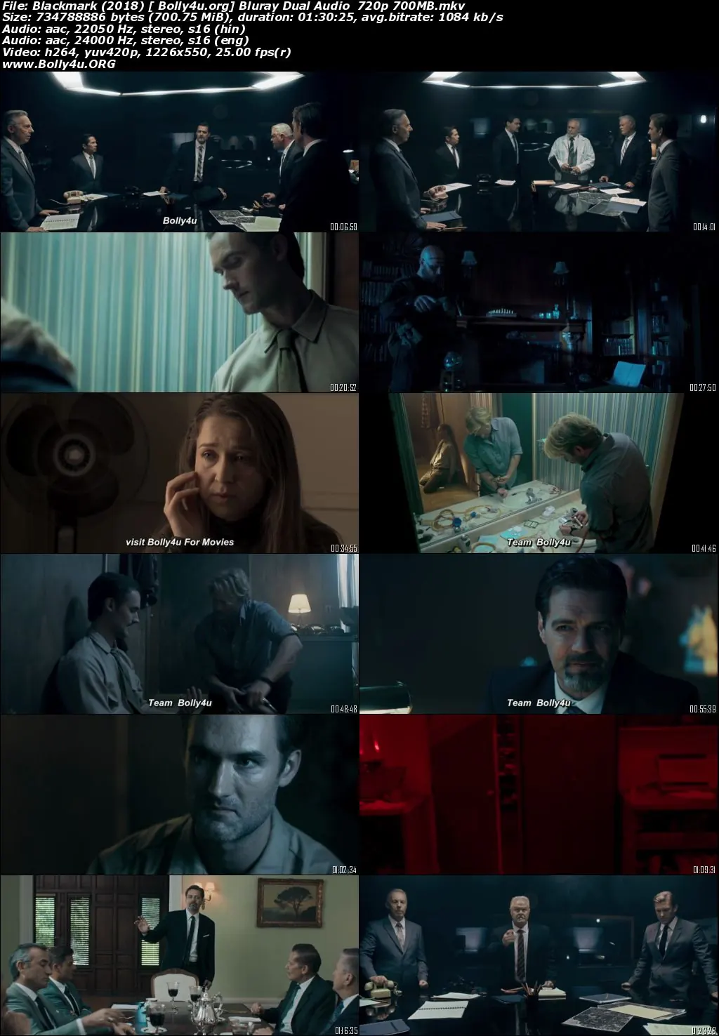Blackmark 2018 BluRay 300Mb Hindi Dual Audio 480p Download