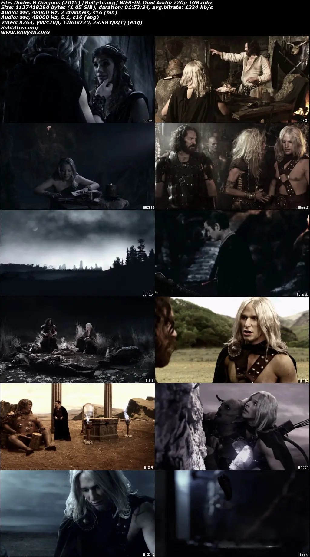 Dudes and Dragons 2015 WEB-DL Hindi Dual Audio Full Movie Download 720p  480p