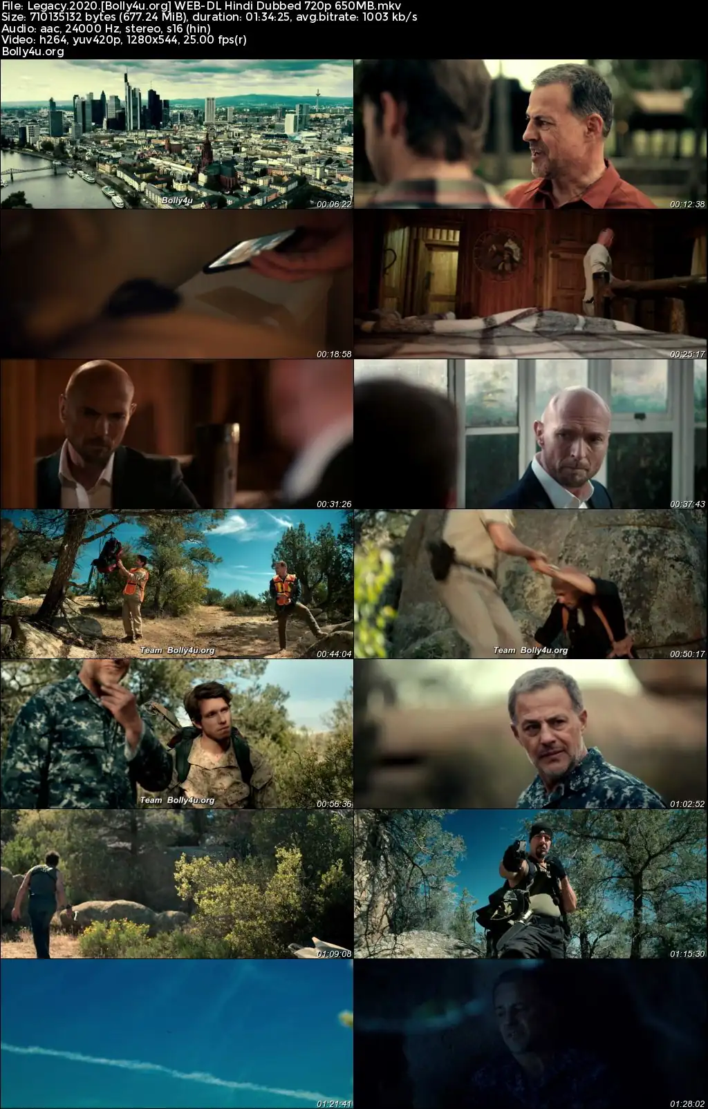 Legacy 2020 WEB-DL Hindi Dubbed ORG Full Movie Download 1080p  720p  480p