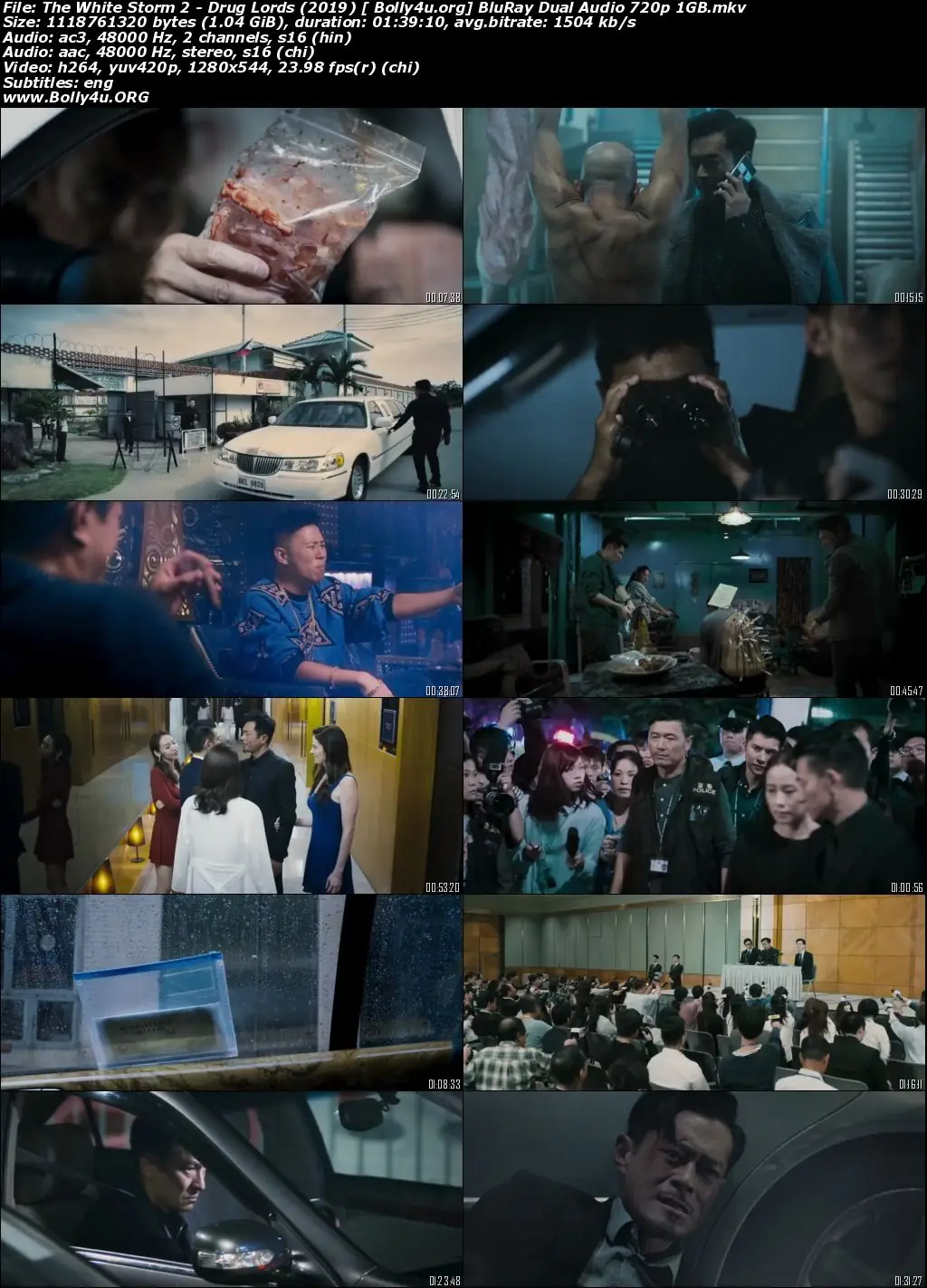 The White Storm 2 Drug Lords 2019 BluRay 350MB Hindi Dual Audio 480p download