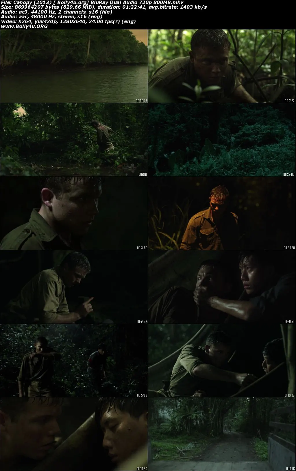 Canopy 2013 BluRay 300Mb Hindi Dual Audio 480p Download