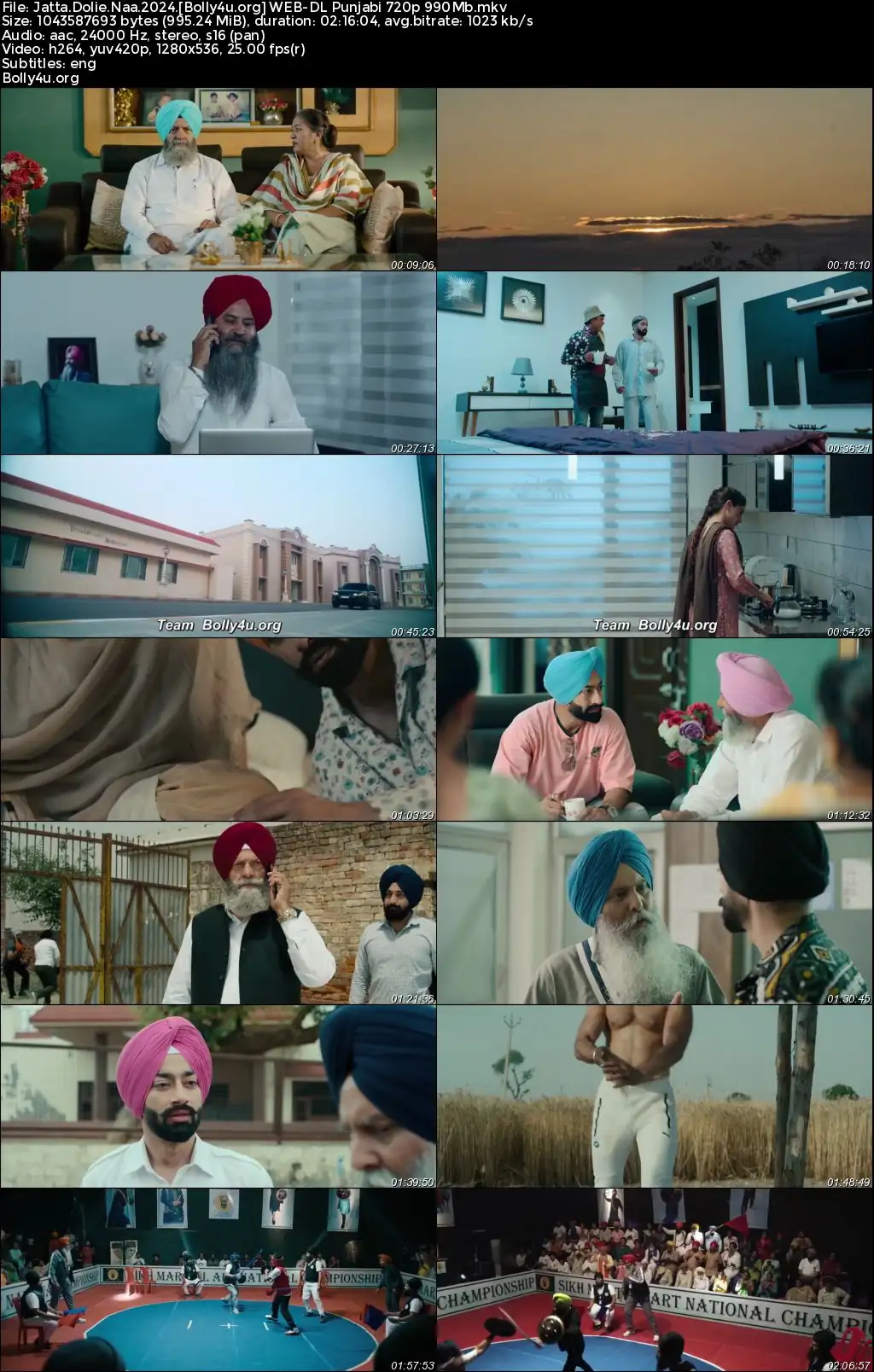 Jatta Dolie Naa 2024 WEB-DL Punjabi Full Movie Download 1080p  720p  480p