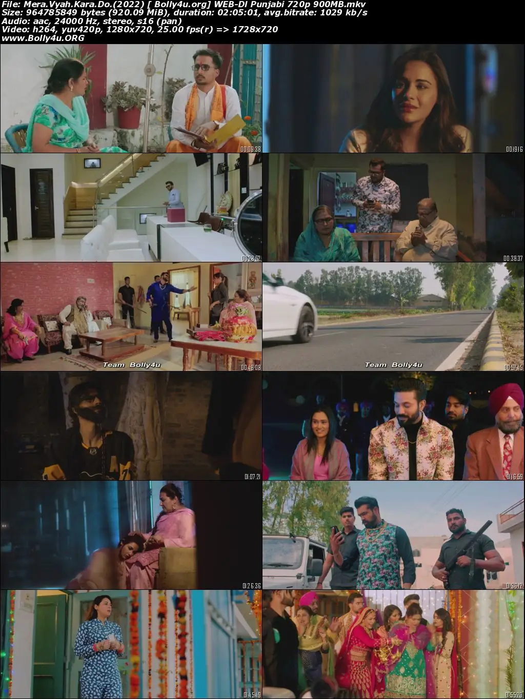 Mera Vyah Kara Do 2022 WEB-DL Punjabi Movie 720p 480p Download