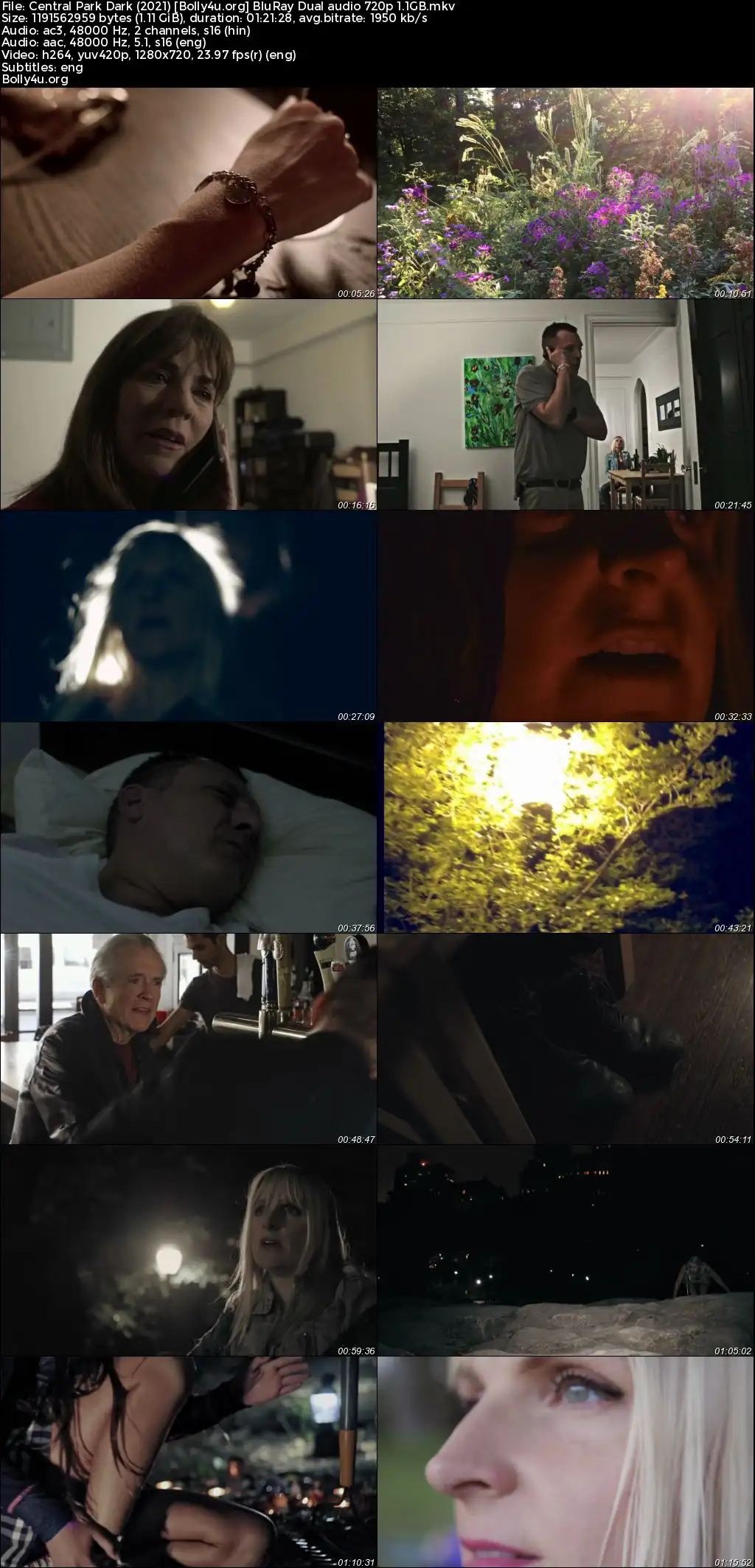 Central Park Dark 2021 BluRay Hindi Dual Audio Full Movie Download 720p  480p