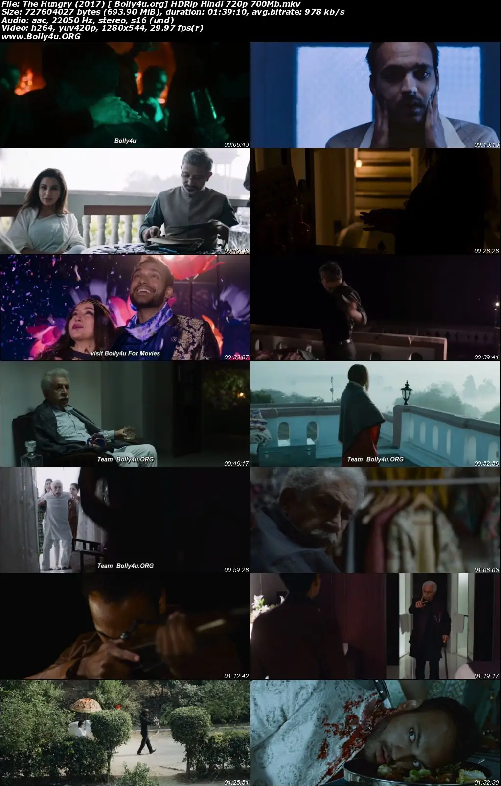 The Hungry 2017 HDRip 700Mb Hindi Movie Download 720p