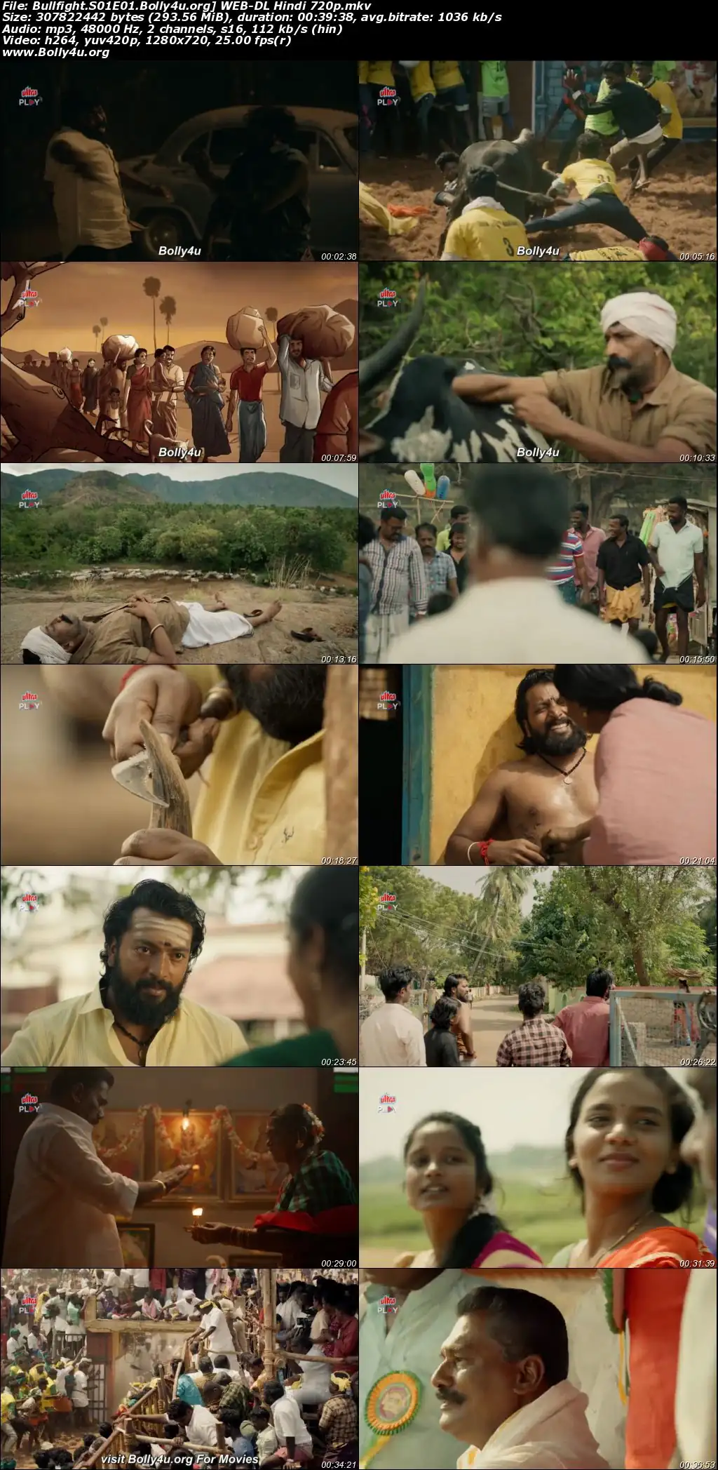 Bullfight 2025 WEB-DL Hindi S01 Complete Download 720p  480p