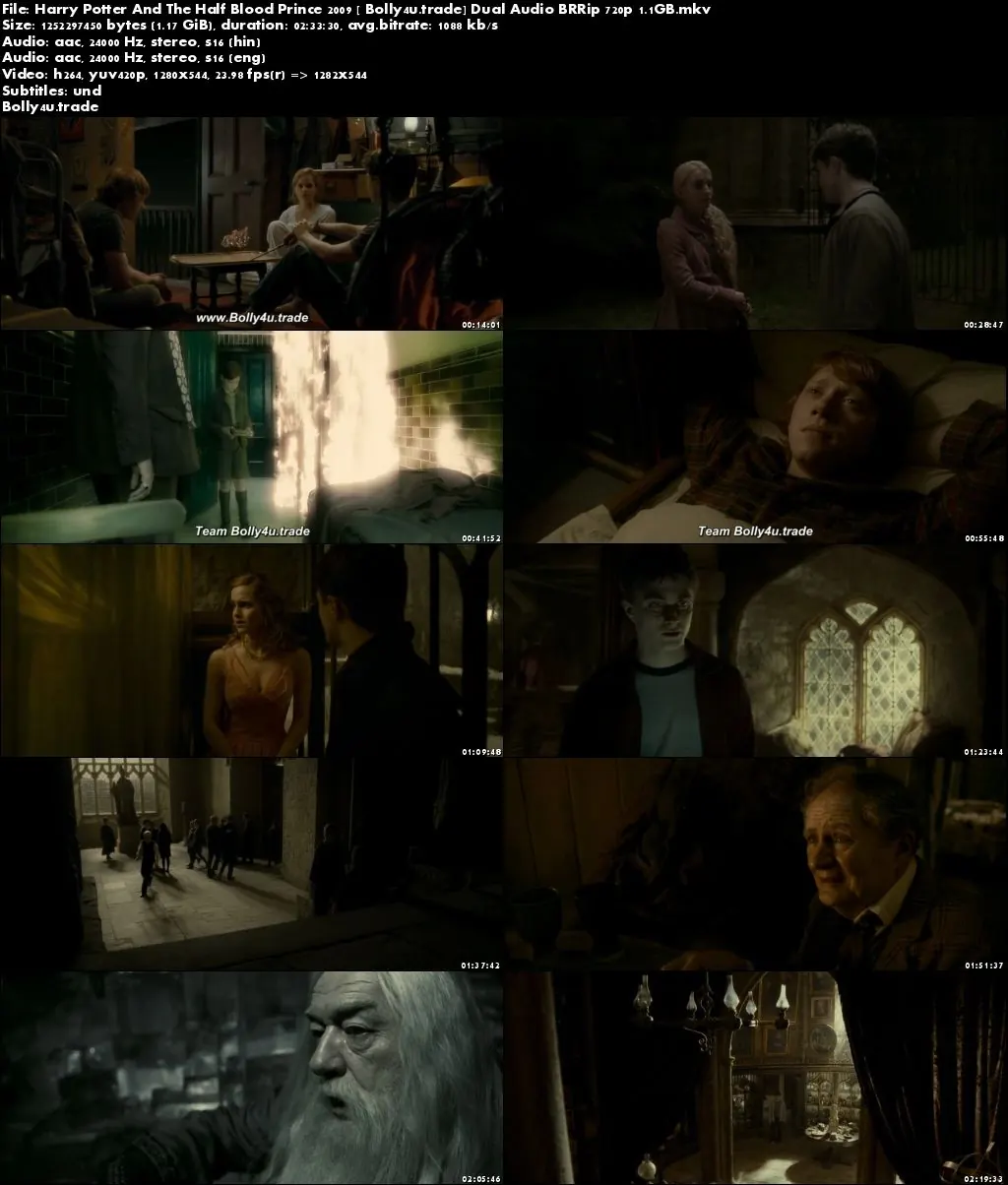 Harry Potter And The Half Blood Prince 2009 BRRip 450MB Hindi Dual Audio 480p Download Harry Potter And The Half Blood Prince 2009 BRRip 450MB Hindi Dual Audio 480p Download