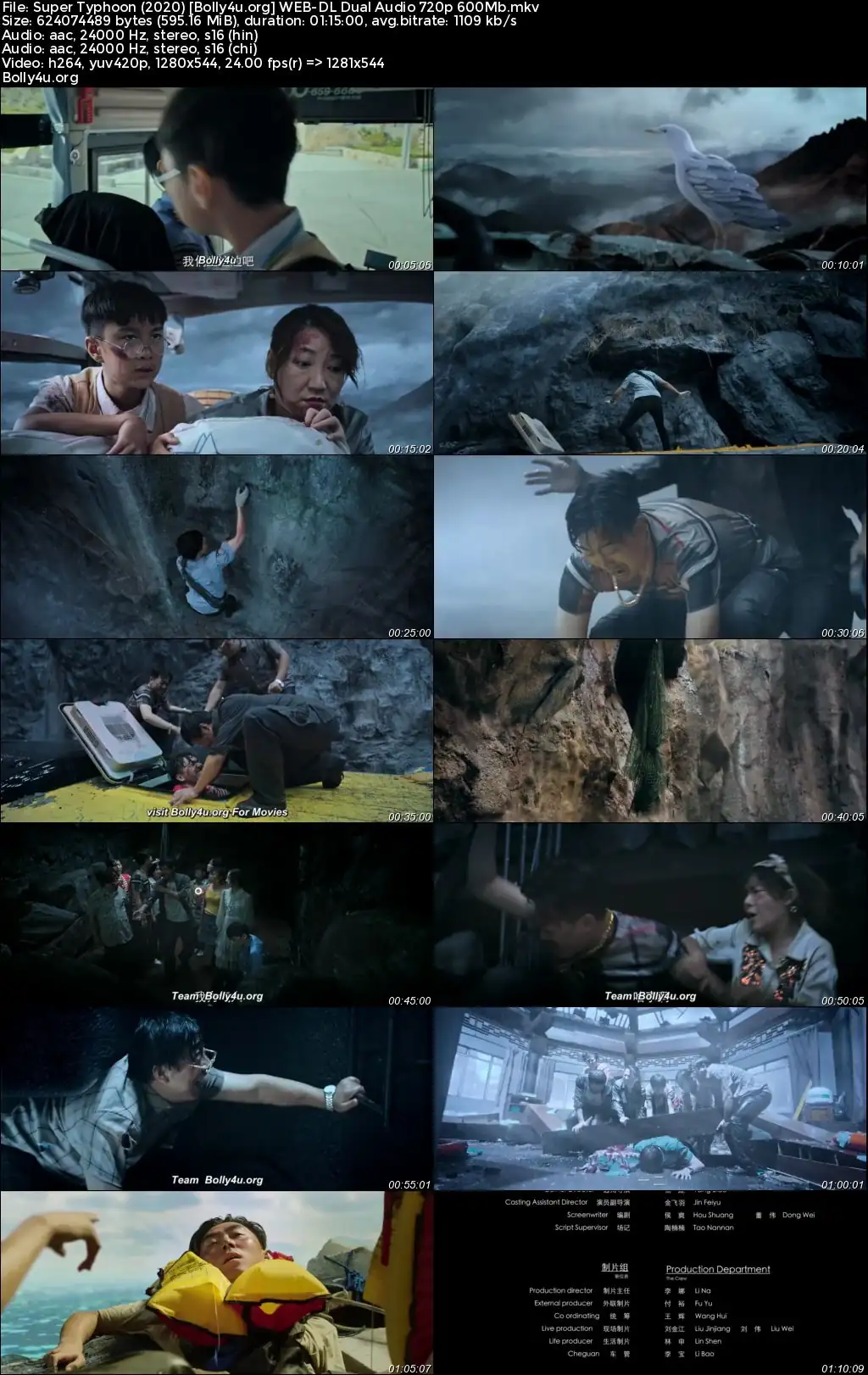 Super Typhoon 2020 WEB-DL Hindi Dual Audio Full Movie Download 1080p  720p  480p