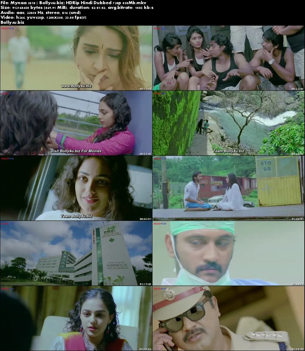 Mynaa 2018 HDRip 850Mb Full Hindi Dubbed Movie Download 720p