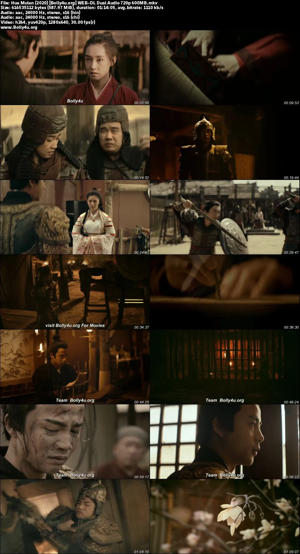 Hua Mulan 2020 WEB-DL Hindi Dual Audio Full Movie Download 720p  480p