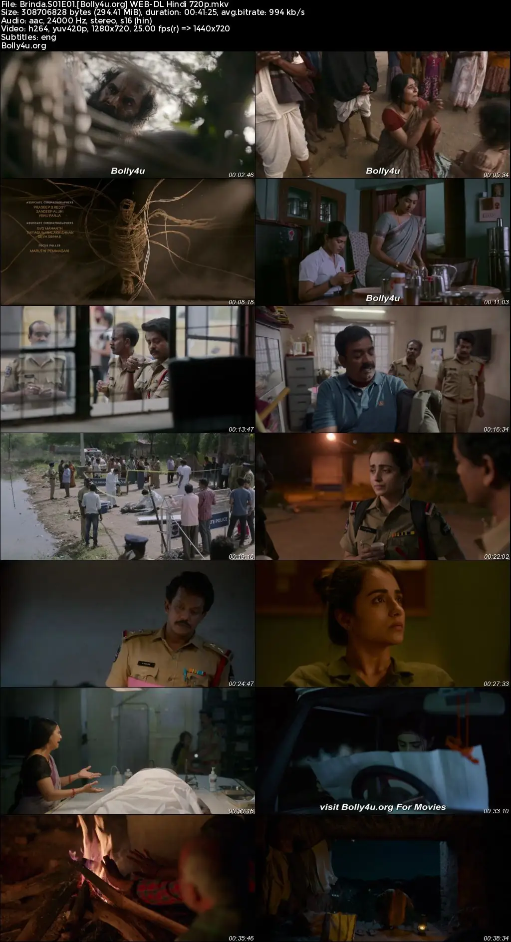 Brinda 2024 WEB-DL Hindi S01 Complete Download 720p  480p