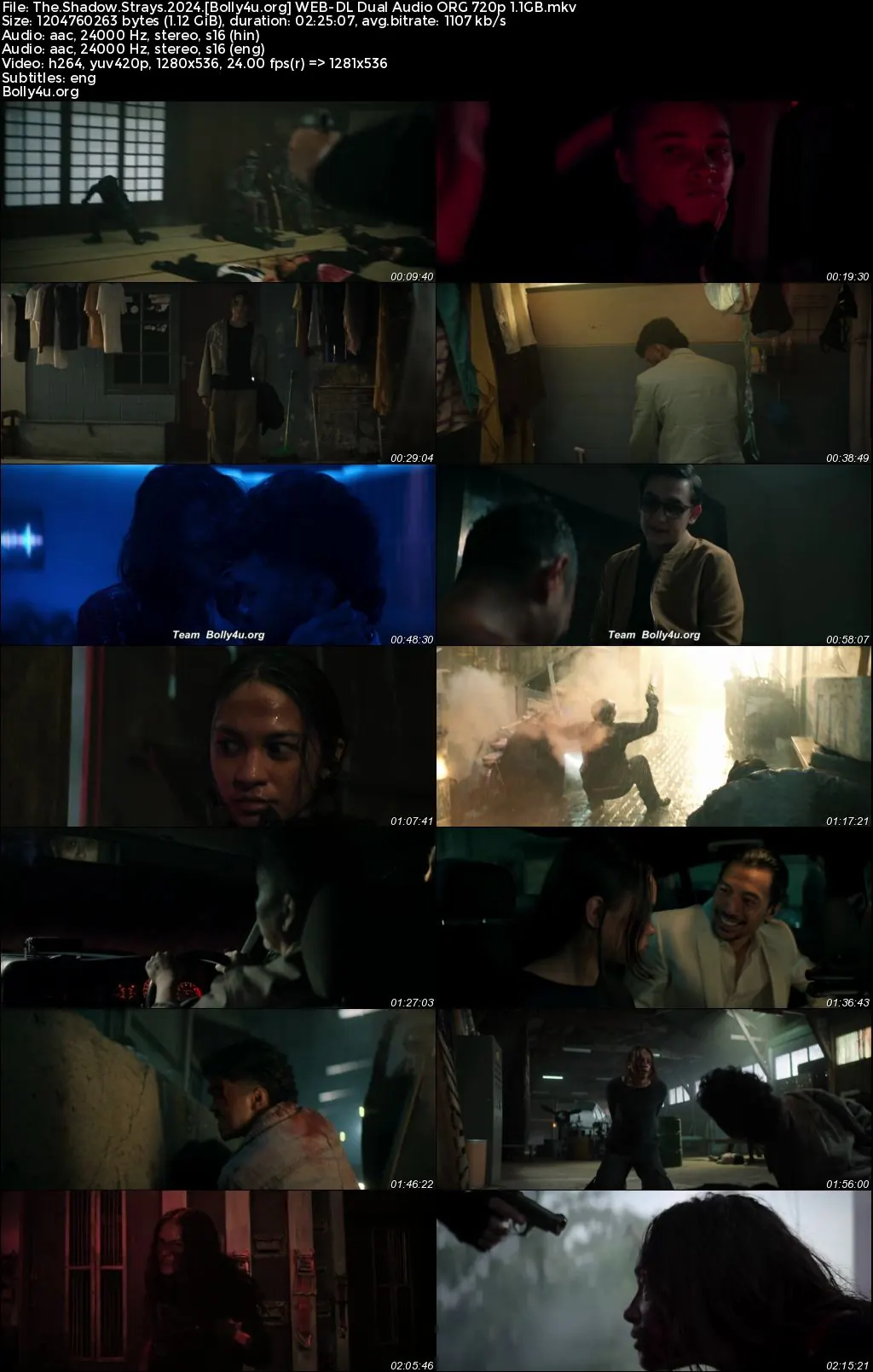 The Shadow Strays 2024 WEB-DL Hindi Dual Audio ORG Full Movie Download 1080p  720p  480p