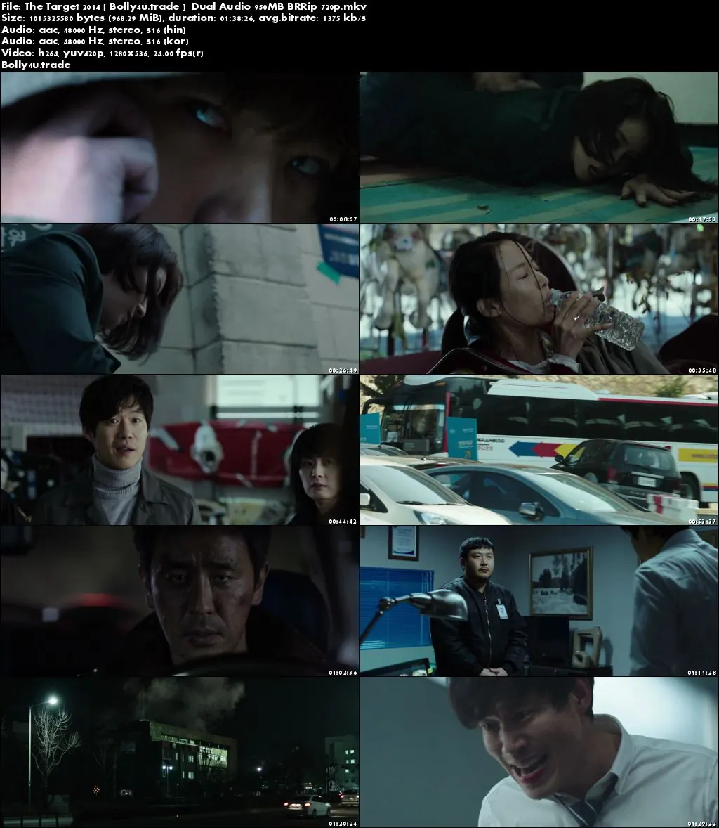 The Target 2014 BRRip 950Mb Hindi Dual Audio 720p Download
