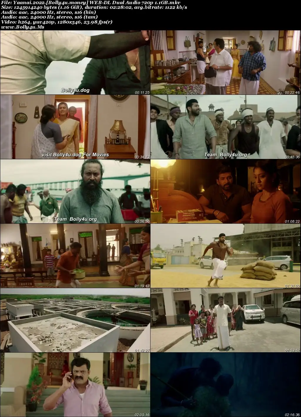 Yaanai 2022 WEB-DL UNCUT Hindi Dual Audio ORG Full Movie Download 1080p  720p  480p