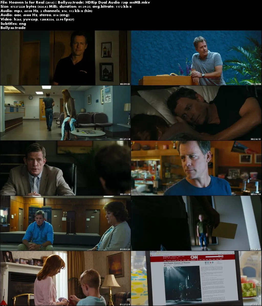 Heaven Is for Real 2014 HDRip 800MB Hindi Dubbed Dual Audio 720p Download