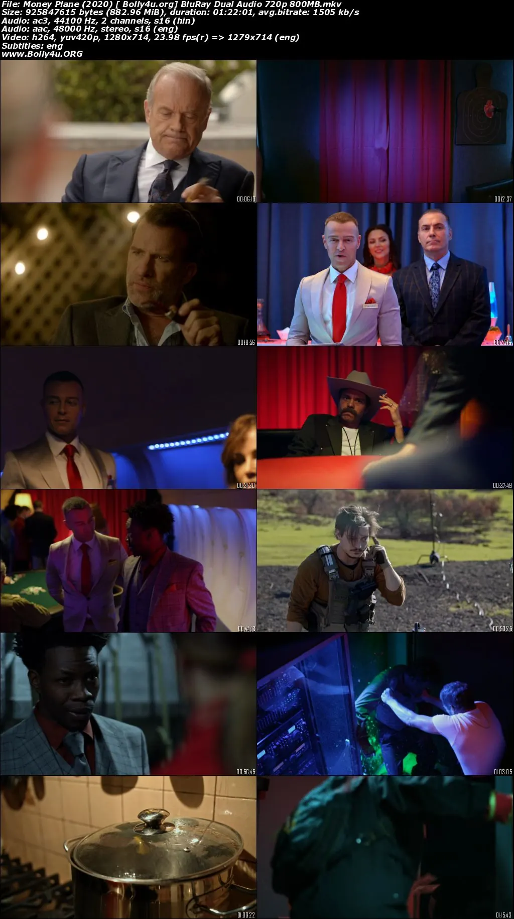 Money Plane 2020 BluRay Hindi Dual Audio Download 720p  480p