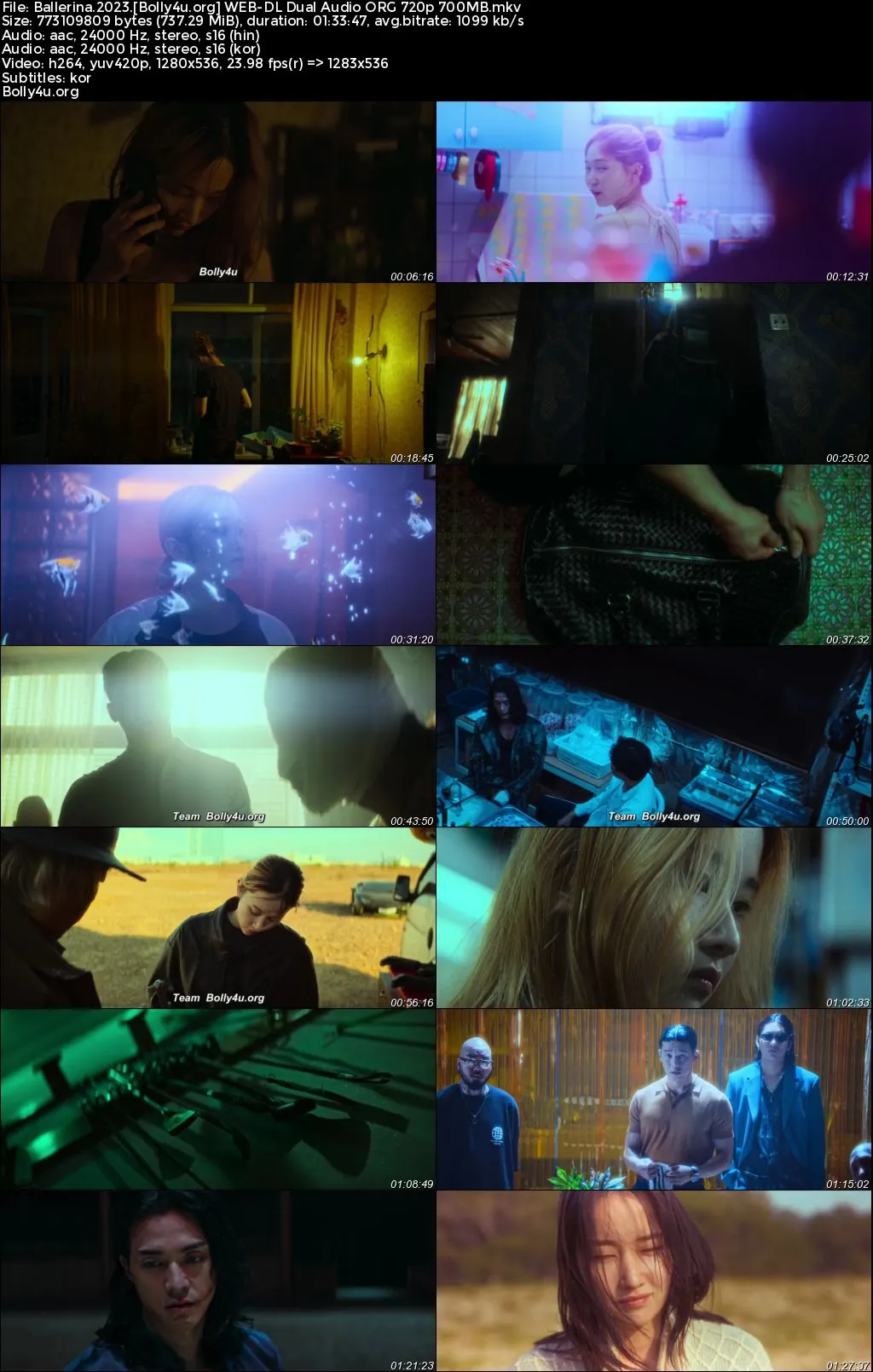 Ballerina 2023 WEB-DL Hindi Dual Audio ORG Full Movie Download 1080p  720p  480p