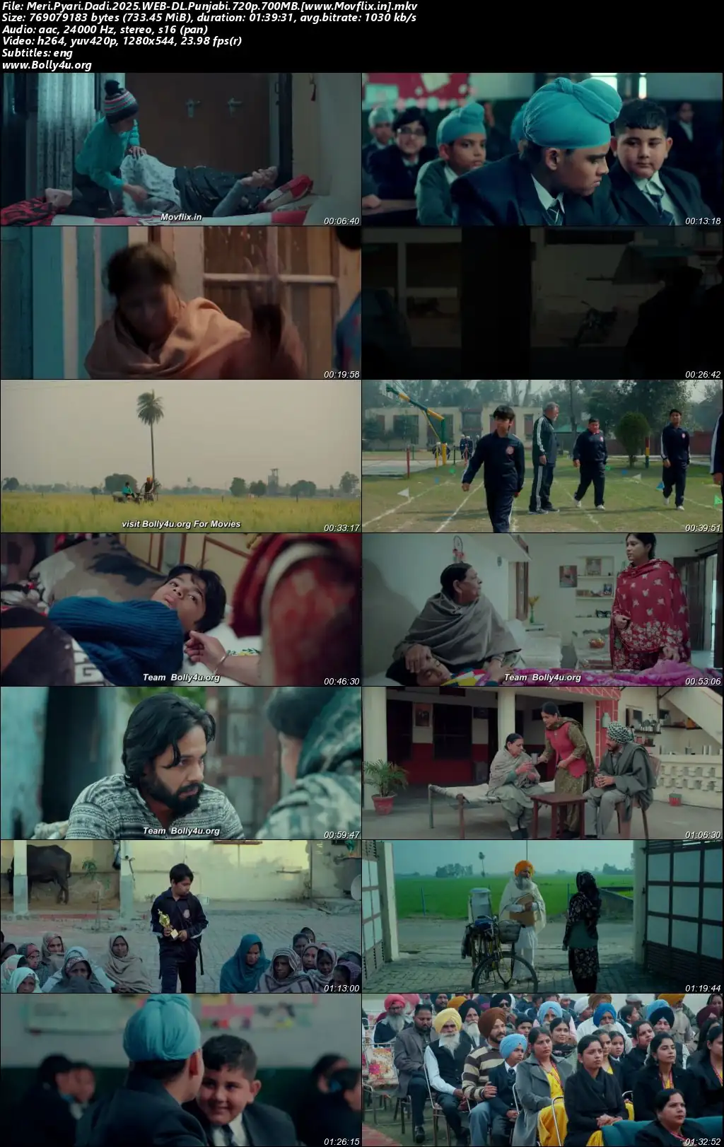 Meri Pyari Dadi 2025 WEB-DL Punjabi Full Movie Download 1080p  720p  480p