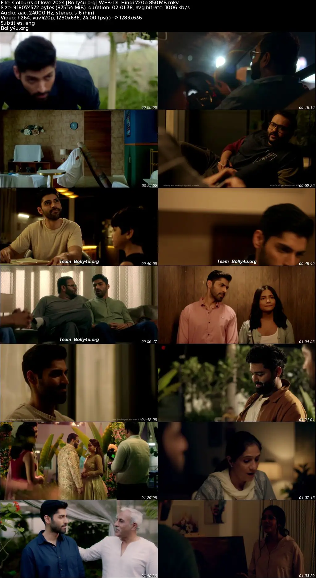 Colourrs of Love 2024 WEB-DL Hindi Full Movie Download 1080p  720p  480p