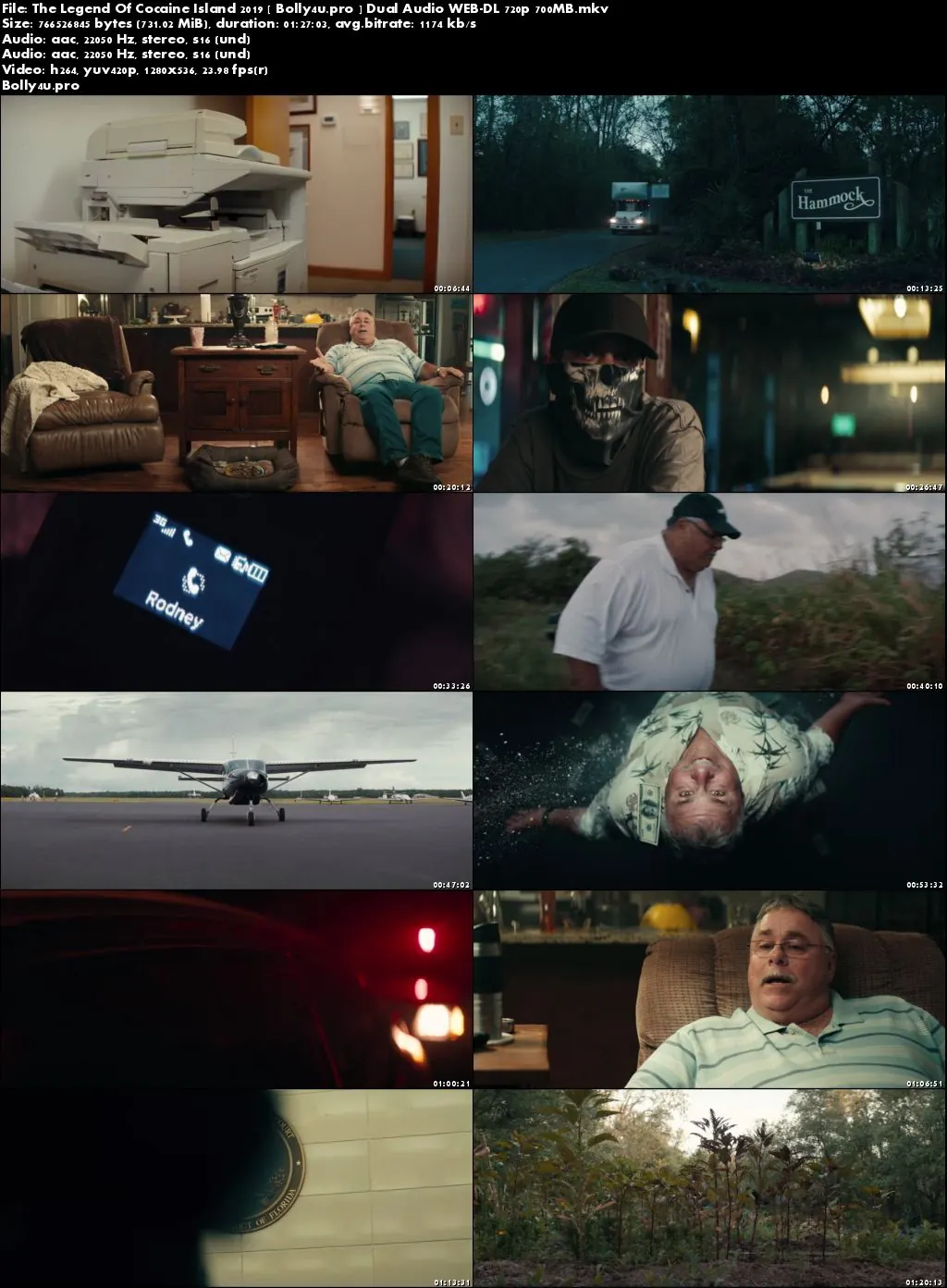 The Legend Of Cocaine Island 2019 WEB-DL 300Mb Hindi Dual Audio 480p Download
