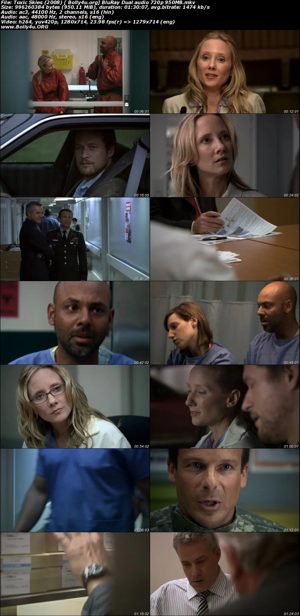 Toxic Skies 2008 BluRay 950MB Hindi Dual Audio 720p Download