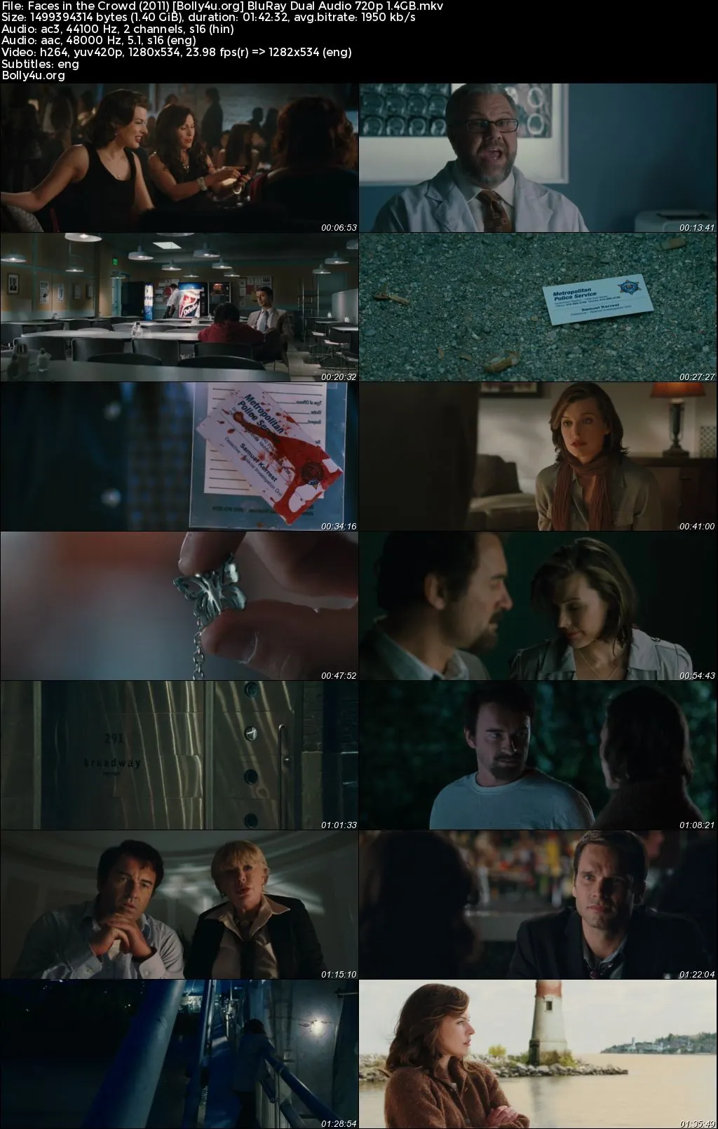 Faces in the Crowd 2011 BluRay Hindi Dual Audio Full Movie Download 720p  480p