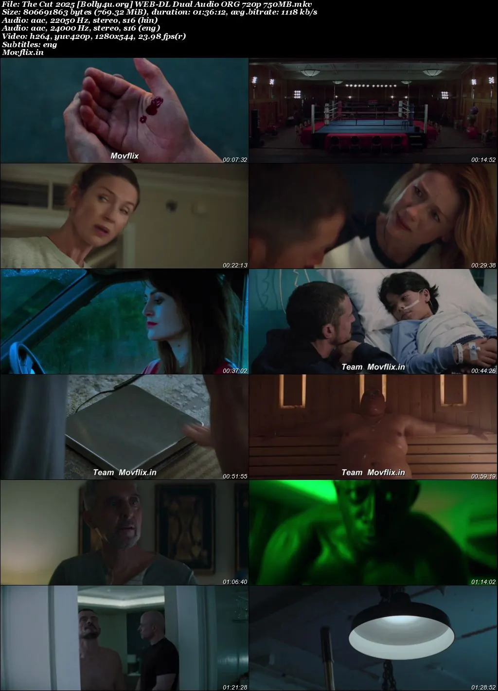 The Cut 2025 WEB-DL Hindi Dual Audio ORG Full Movie Download 1080p  720p  480p