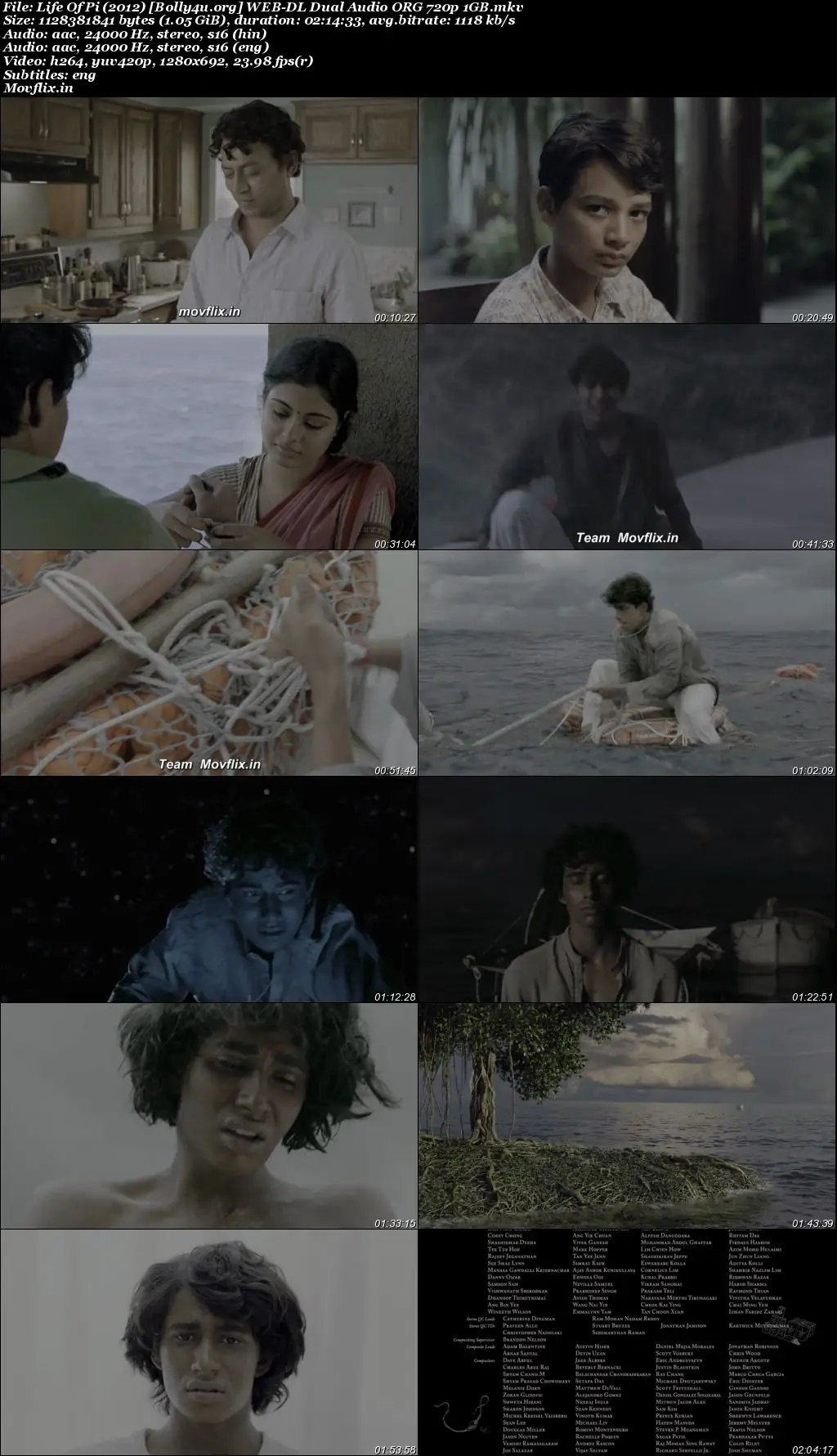 Life of Pi 2012 WEB-DL Hindi Dual Audio ORG Full Movie Download 1080p  720p  480p