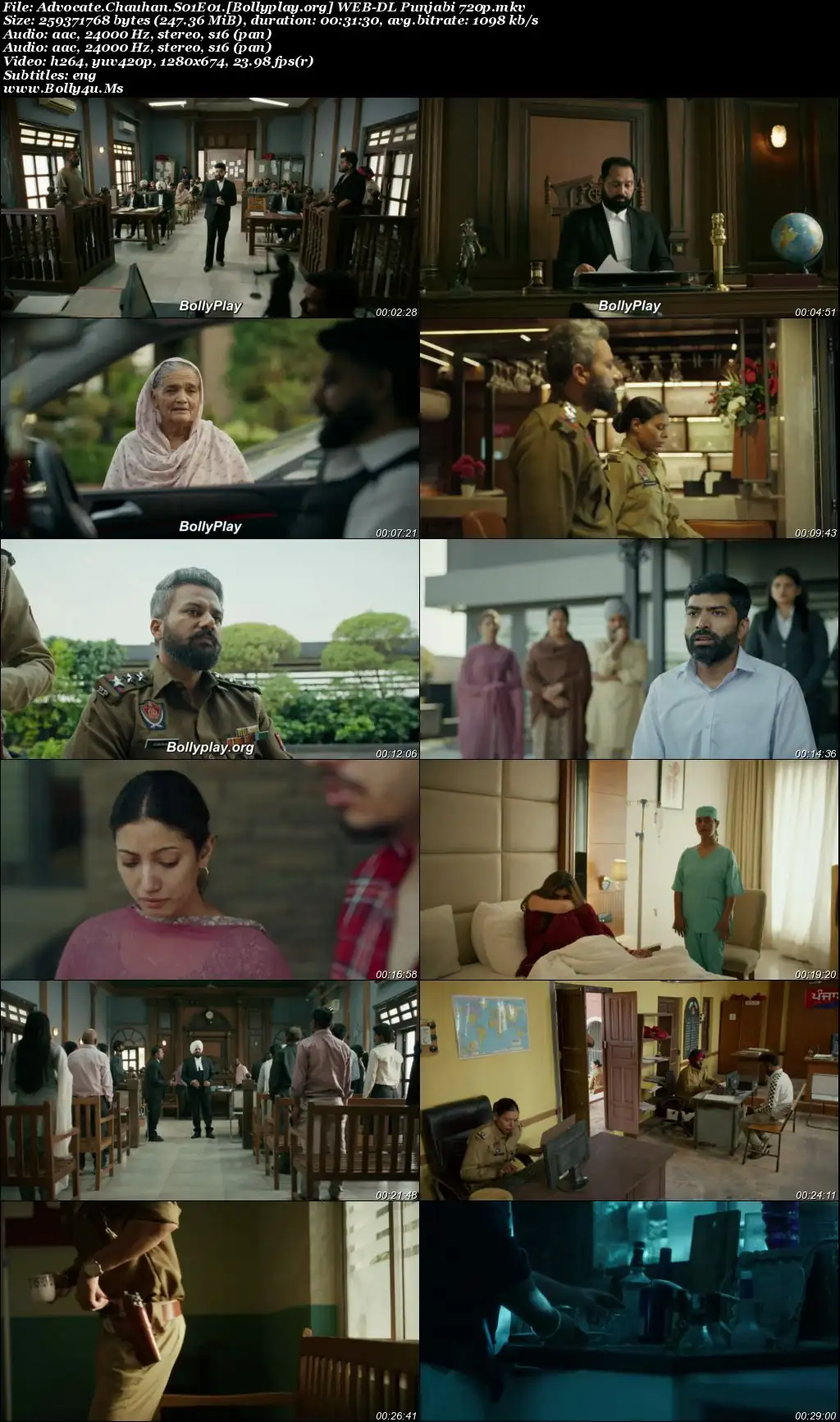 Advocate Chauhan 2026 WEB-DL Punjabi S01 Complete Download 720p  480p