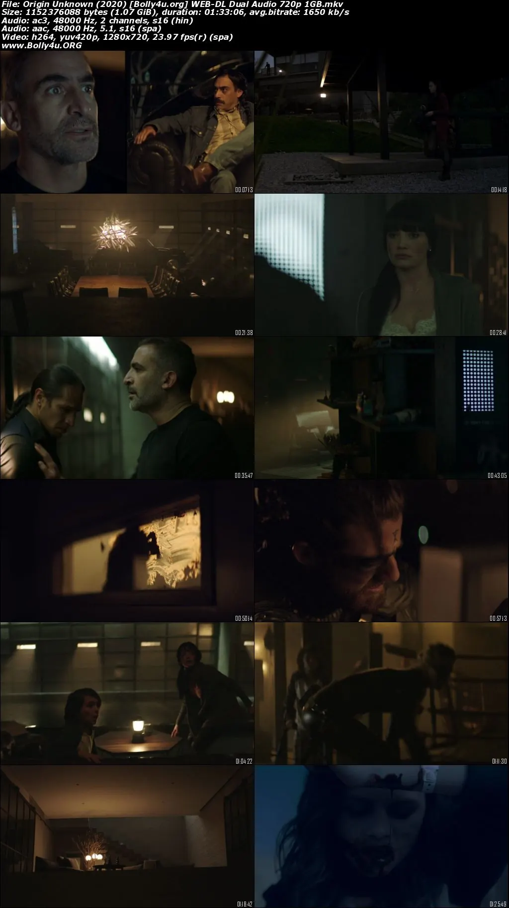Origin Unknown 2020 WEB-DL Hindi Dual Audio Full Movie Download 720p  480p