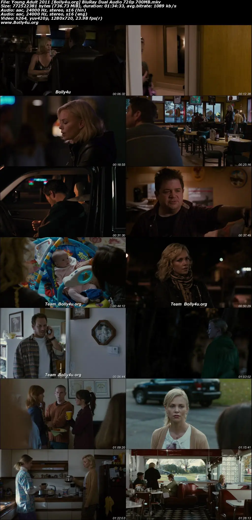Young Adult 2011 BluRay Hindi Dual Audio Full Movie Download 1080p  720p  480p