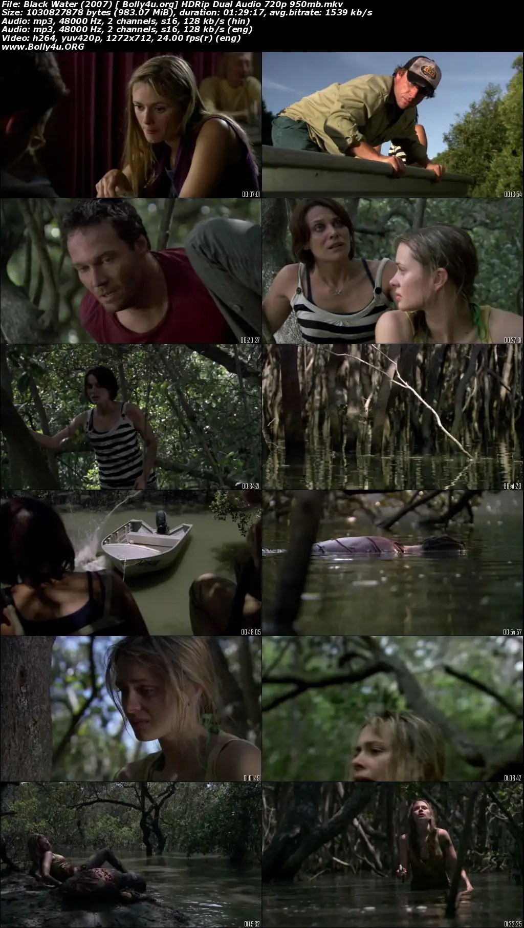 Black Water 2007 HDRip 300Mb Hindi Dual Audio 480p download