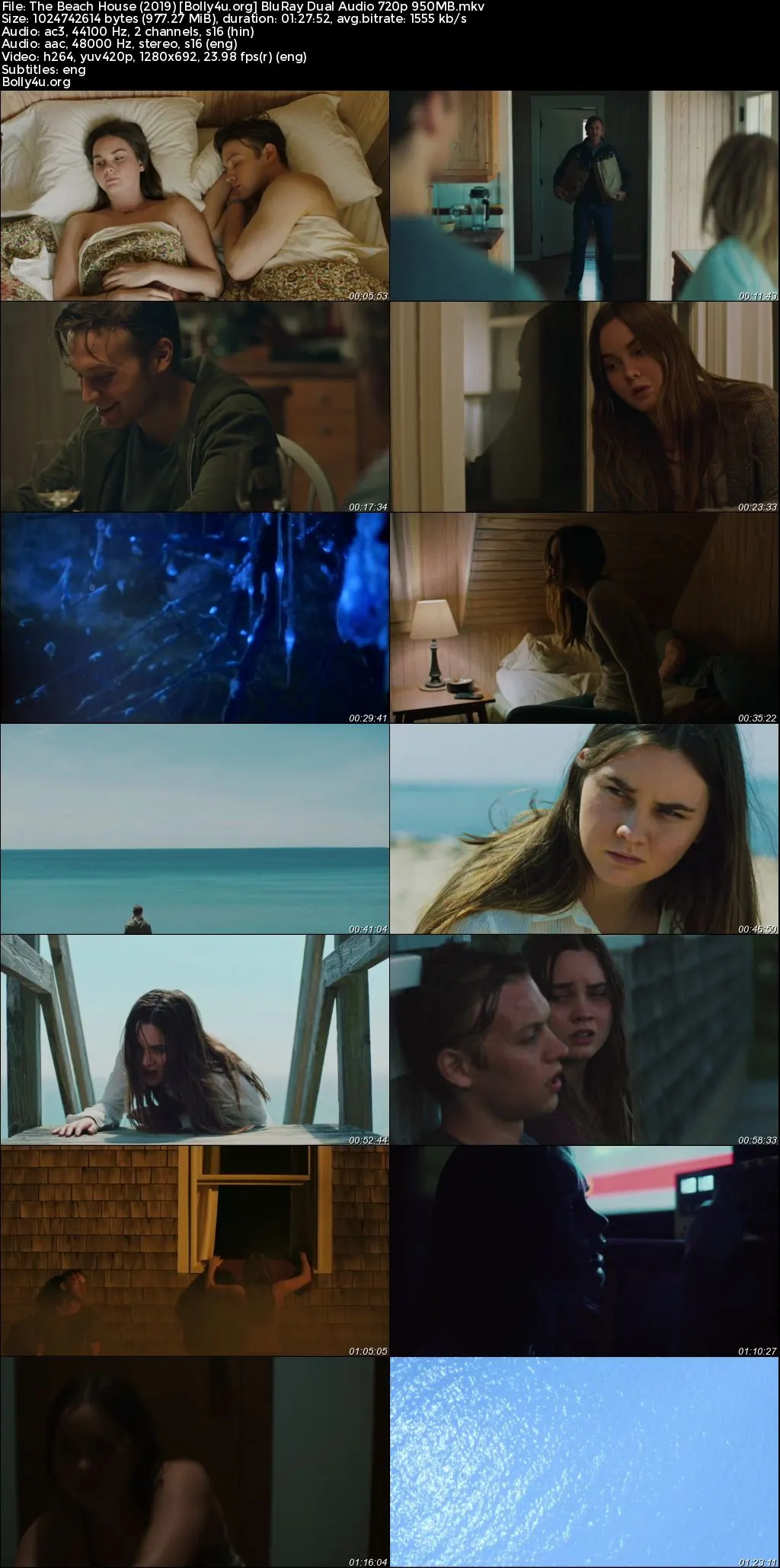 The Beach House 2019 BluRay Hindi Dual Audio Full Movie Download 720p  480p