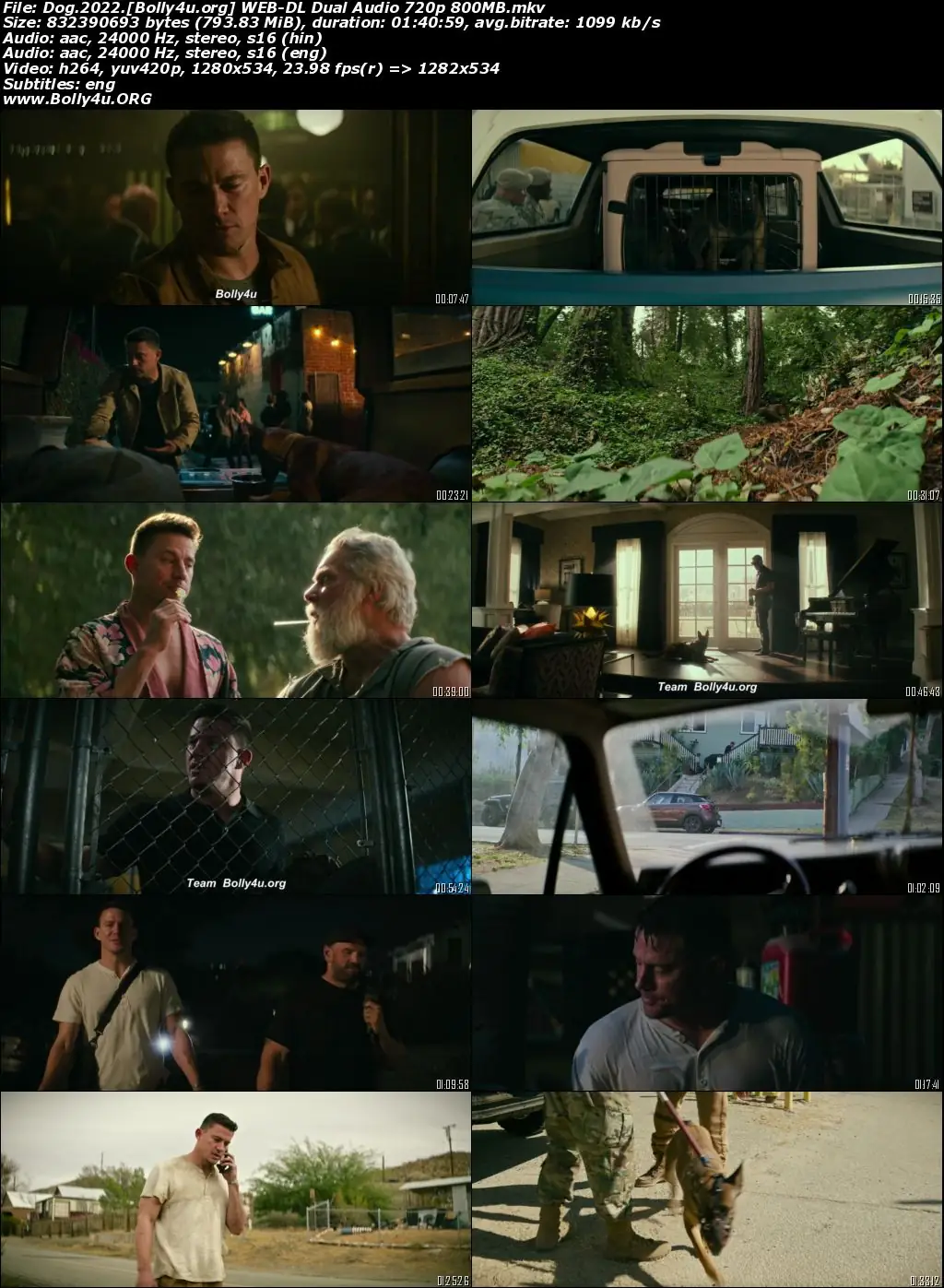 Dog 2022 WEB-DL Hindi Dual Audio ORG 720p 480p Download Dog 2022 WEB-DL Hindi Dual Audio ORG 720p 480p Download