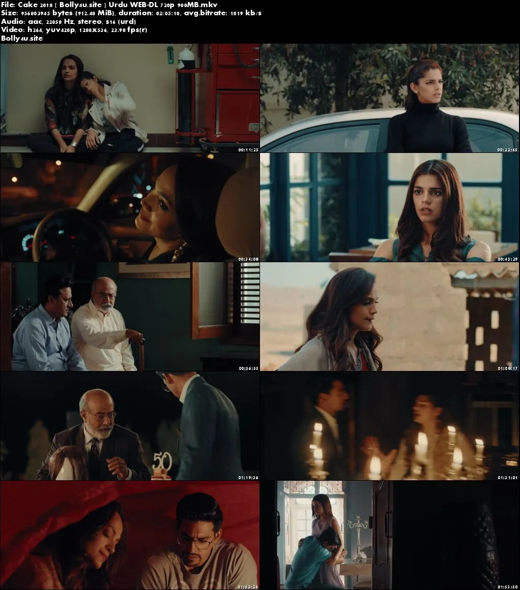 Cake 2018 WEB-DL 350Mb Urdu 480p Download