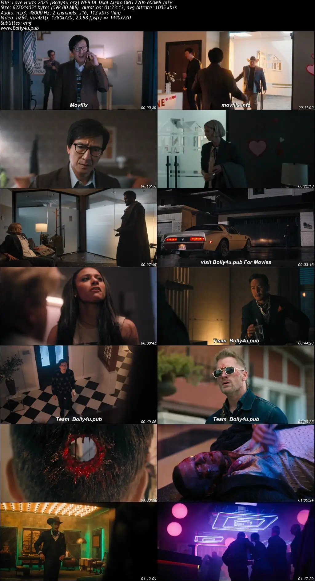 Love Hurts 2025 WEB-DL Hindi Dubbed ORG Full Movie Download 1080p  720p  480p