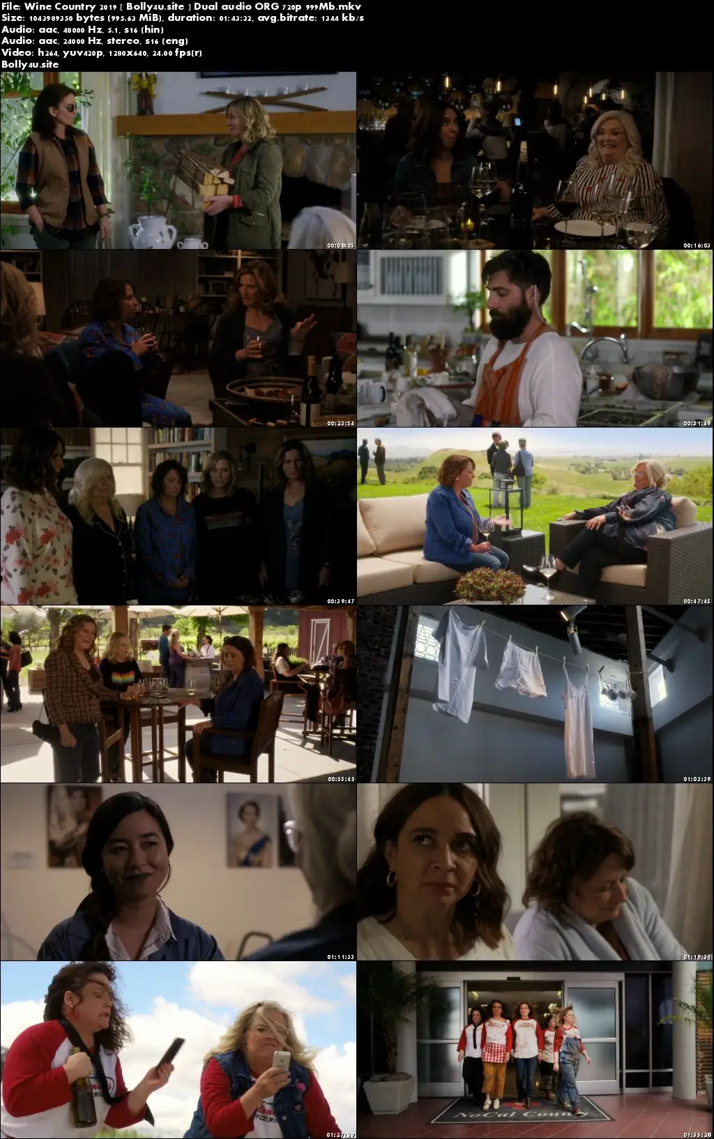 Wine Country 2019 BRRip 350MB Hindi Dual Audio ORG 480p Download Wine Country 2019 BRRip 350MB Hindi Dual Audio ORG 480p Download