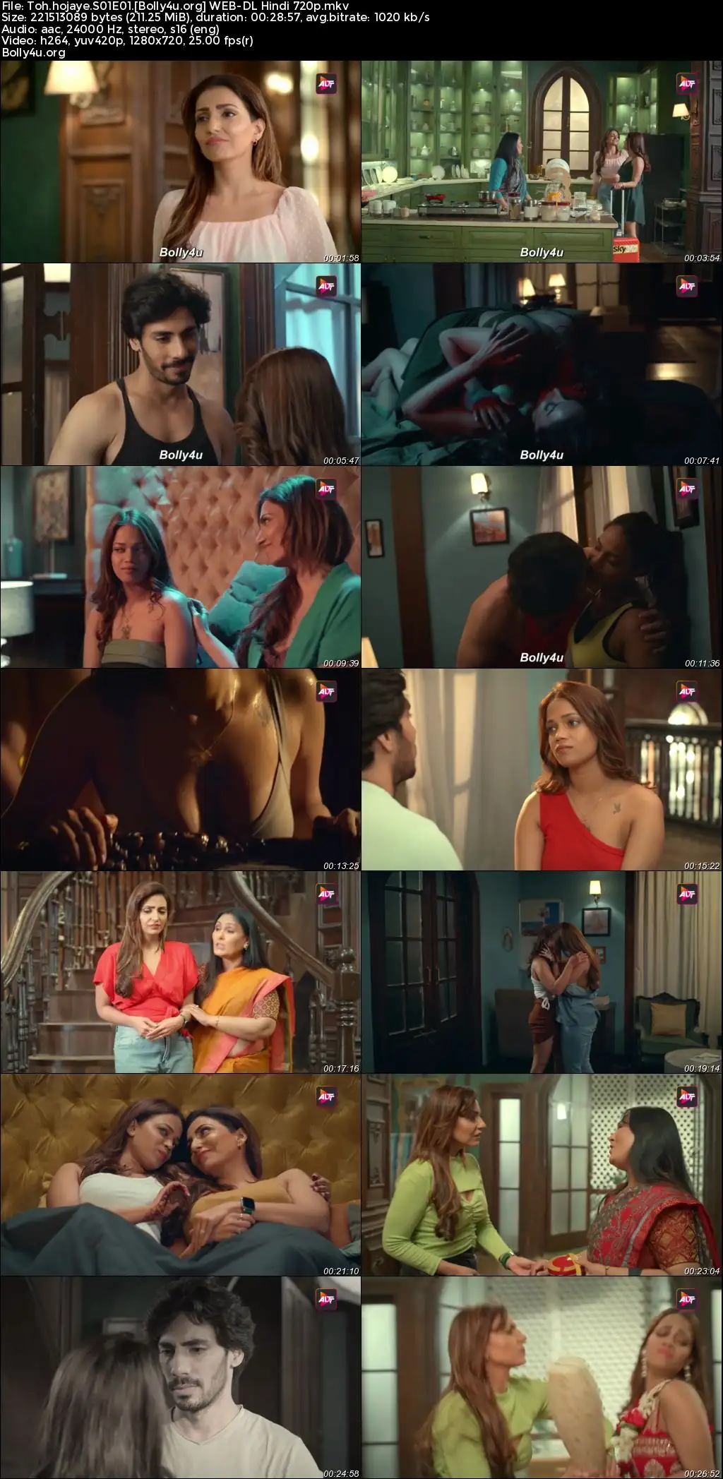 Toh Ho Jaye 2023 WEB-DL Hindi S01 Complete Download 720p