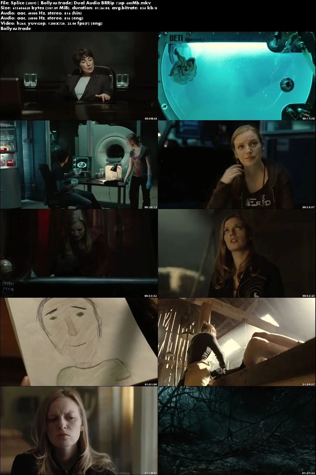 Splice 2009 BRRip 600Mb Hindi Dual Audio 720p Download