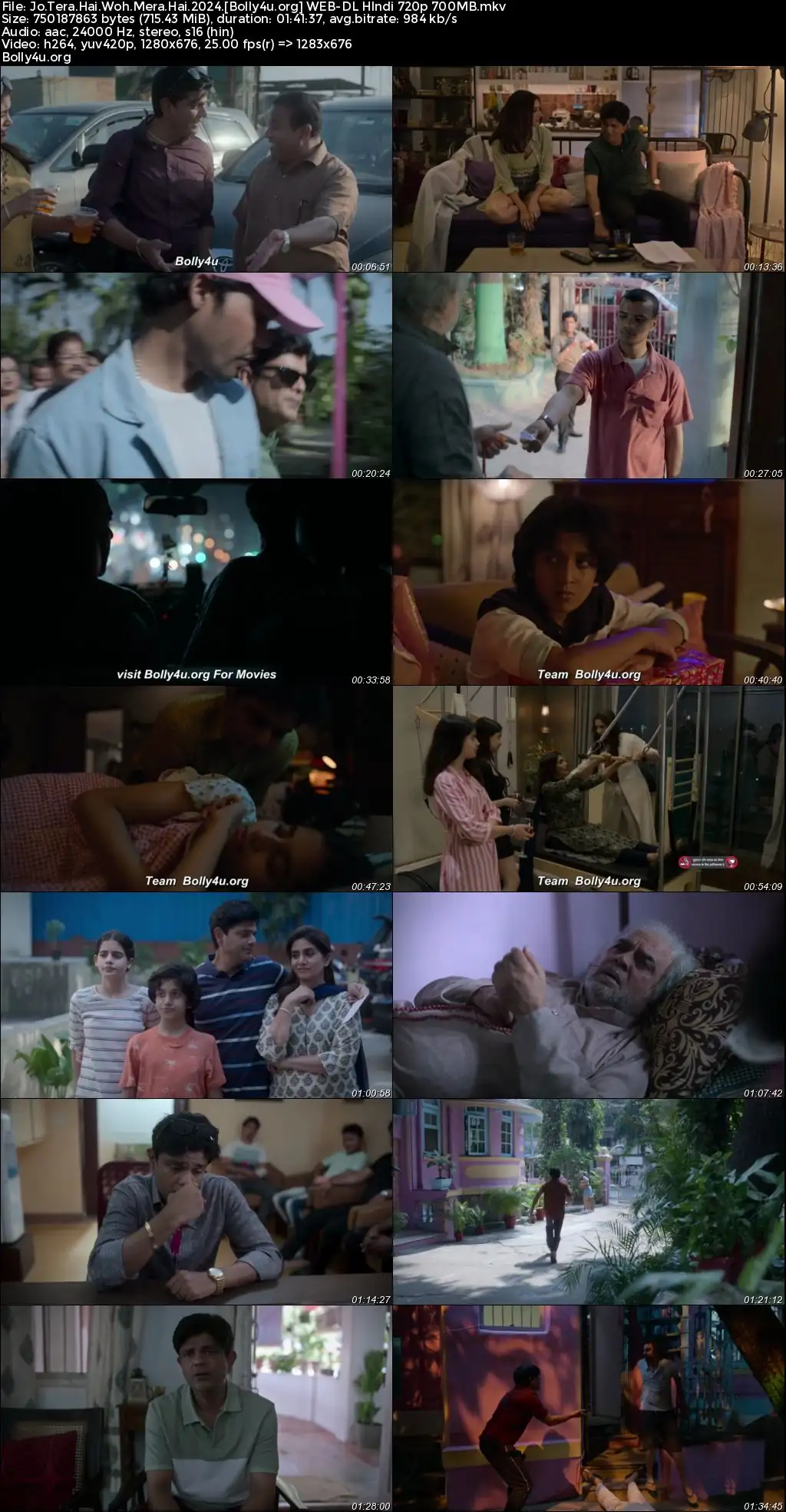 Jo Tera Hai Woh Mera Hai 2024 WEB-DL Hindi Full Movie Download 1080p  720p  480p