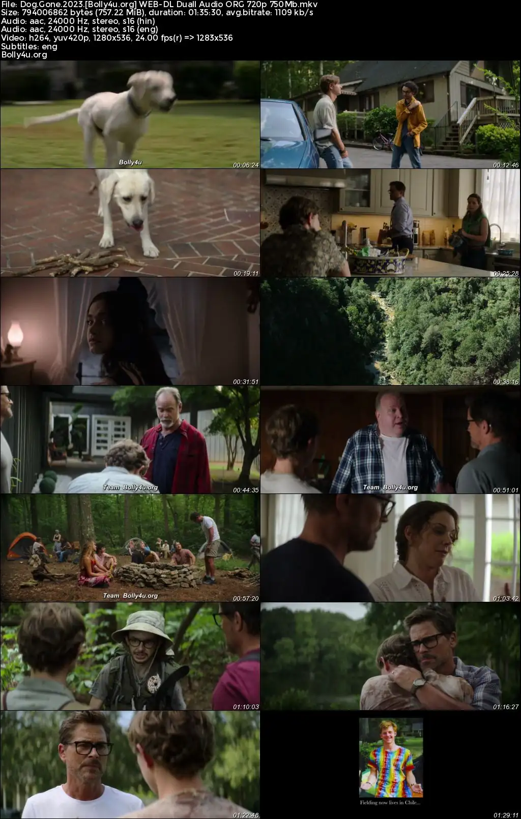 Dog Gone 2023 WEB-DL Hindi Dual Audio ORG Full movie Download 1080p 720p 480p Dog Gone 2023 WEB-DL Hindi Dual Audio ORG Full movie Download 1080p 720p 480p
