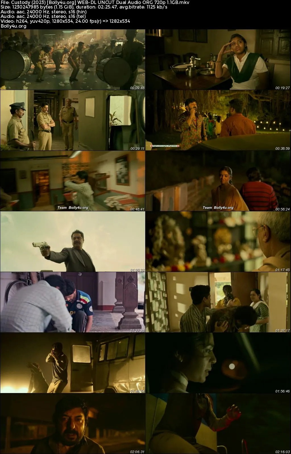 Custody 2023 WEB-DL UNCUT Hindi Dual Audio ORG Full Movie Download 1080p  720p  480p