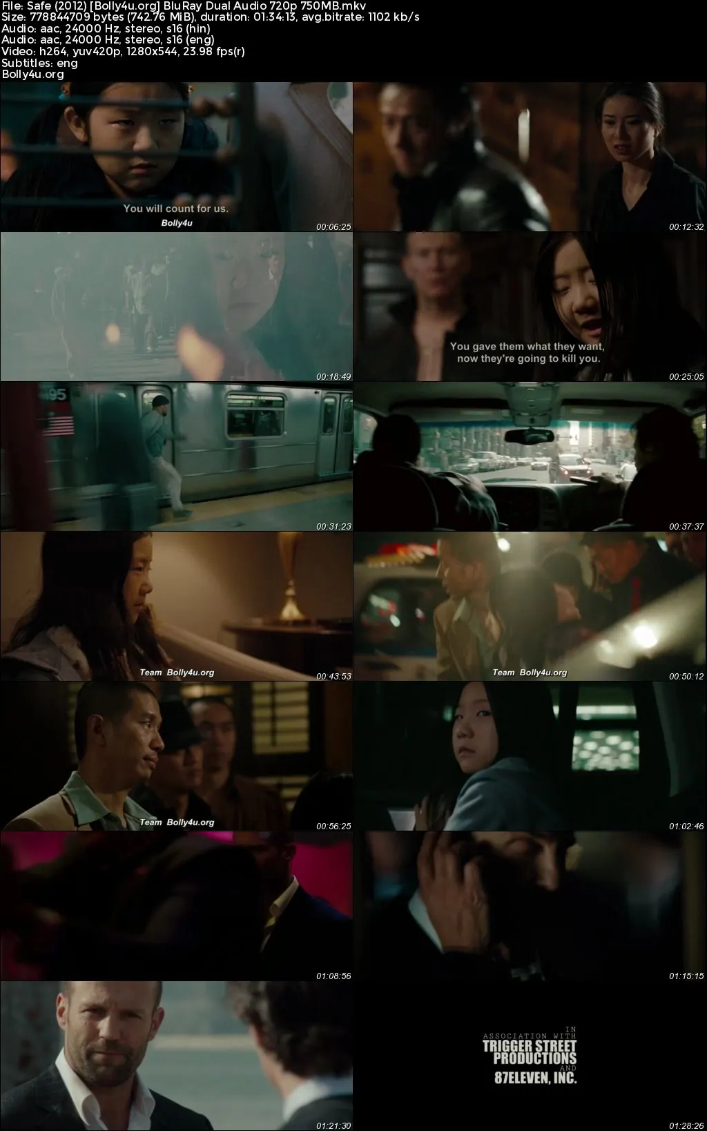 Safe 2012 BluRay Hindi Dual Audio ORG Full Movie Download 1080p  720p  480p