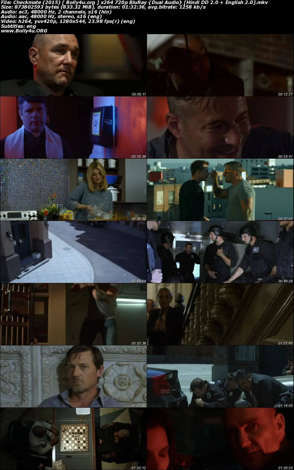Checkmate 2015 BluRay 300Mb Hindi Dual Audio 480p Download