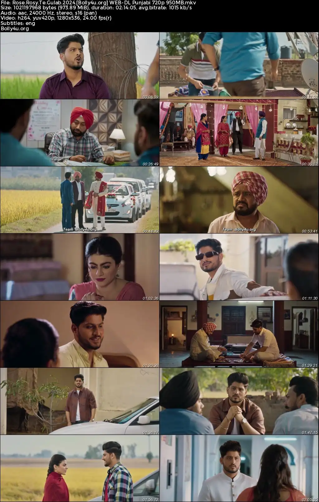 Rose Rosy Te Gulab 2024 WEB-DL Punjabi Full Movie Download 1080p  720p  480p