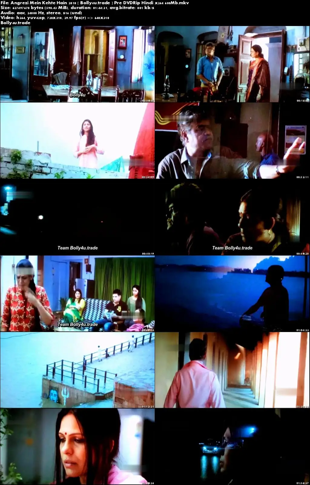 Angrezi Mein Kehte Hain 2018 Pre DVDRip 300MB Hindi 480p Download