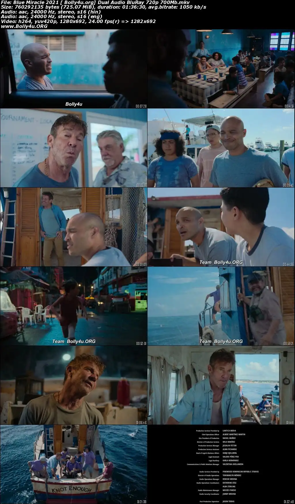 Blue Miracle 2021 BluRay 300Mb Hindi Dual Audio ORG 480p Download