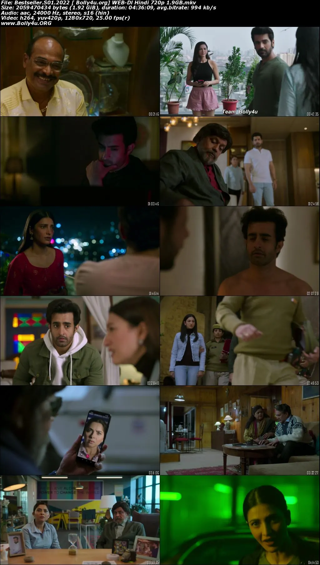Bestseller 2022 WEB-DL Hindi S01 Complete 720p 480p Download