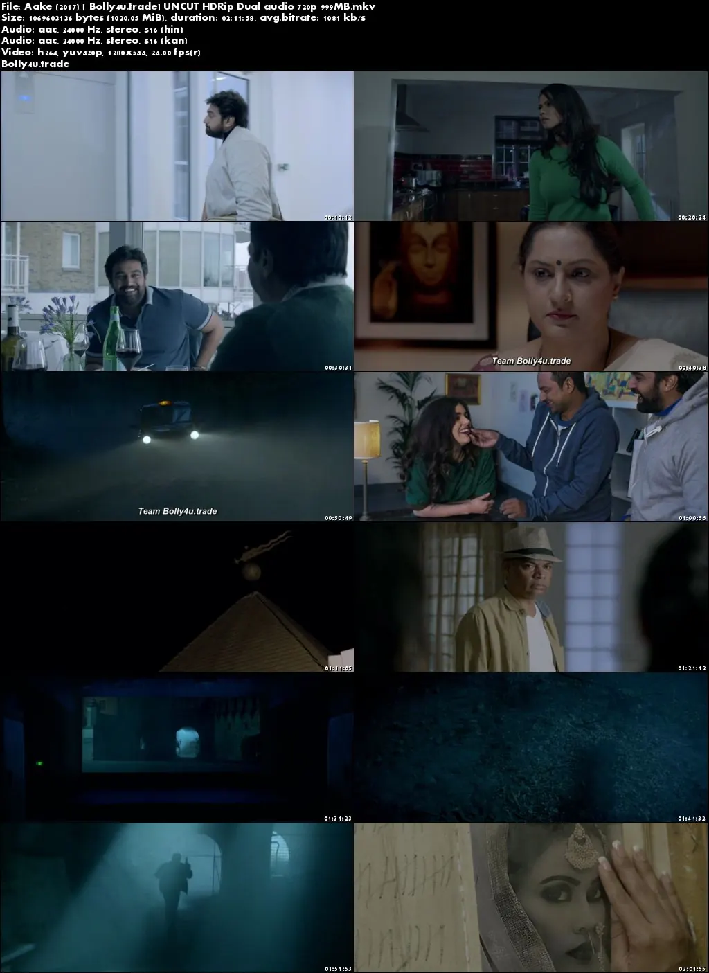 Aake 2017 HDRip 400MB UNCUT Hindi Dual Audio 480p Download